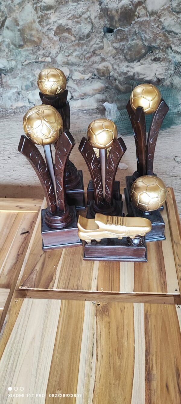 30f4a3d4 5c6d 463f 9454 ac1662f7050d - Piala Sepak Bola Piala Futsal Kayu Jati Minimalis Terlaris