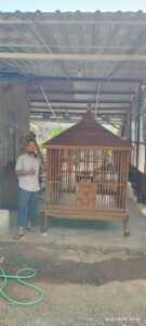 Kandang Ayam Sangkar Hias Jumbo Ukiran Full Kayu Jati