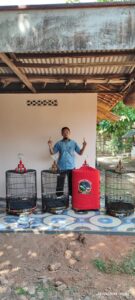 Sangkar Burung Murai Hias Kandang Burung Kayu Jati